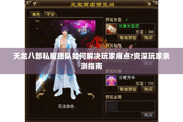 天龙八部私服团队如何解决玩家痛点?资深玩家亲测指南 天龙八部私服团队如何解决玩家痛点?资深玩家亲测指南