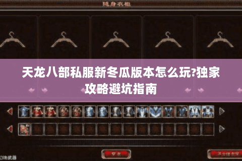 天龙八部私服新冬瓜版本怎么玩?独家攻略避坑指南 天龙八部私服新冬瓜版本怎么玩?独家攻略避坑指南