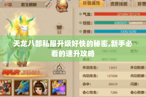 天龙八部私服升级好快的秘密,新手必看的速升攻略 天龙八部私服升级好快的秘密,新手必看的速升攻略