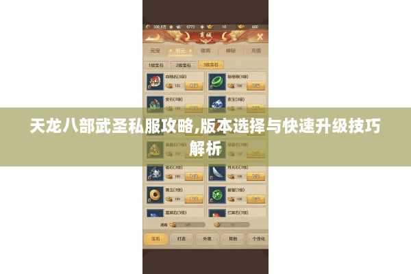 天龙八部武圣私服攻略,版本选择与快速升级技巧解析 天龙八部武圣私服攻略,版本选择与快速升级技巧解析