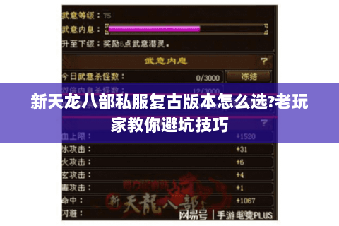 新天龙八部私服复古版本怎么选?老玩家教你避坑技巧