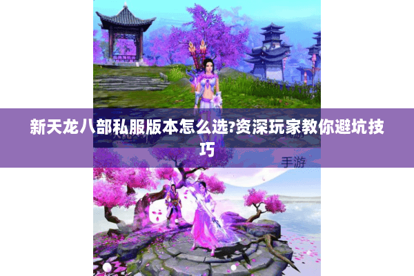 新天龙八部私服版本怎么选?资深玩家教你避坑技巧 新天龙八部私服版本怎么选?资深玩家教你避坑技巧