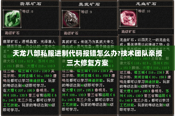 天龙八部私服进制代码报错怎么办?技术团队亲授三大修复方案 天龙八部私服进制代码报错怎么办?技术团队亲授三大修复方案