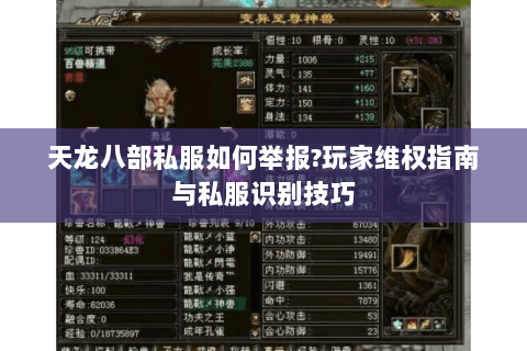 天龙八部私服如何举报?玩家维权指南与私服识别技巧 天龙八部私服如何举报?玩家维权指南与私服识别技巧