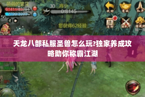 天龙八部私服圣兽怎么玩?独家养成攻略助你称霸江湖 天龙八部私服圣兽怎么玩?独家养成攻略助你称霸江湖