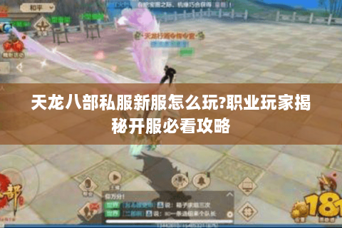 天龙八部私服新服怎么玩?职业玩家揭秘开服必看攻略 天龙八部私服新服怎么玩?职业玩家揭秘开服必看攻略