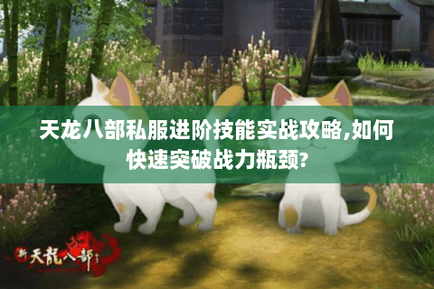 天龙八部私服进阶技能实战攻略,如何快速突破战力瓶颈? 天龙八部私服进阶技能实战攻略,如何快速突破战力瓶颈?