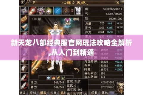 新天龙八部经典服官网玩法攻略全解析,从入门到精通 新天龙八部经典服官网玩法攻略全解析,从入门到精通