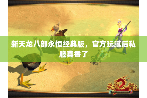 新天龙八部永恒经典版,官方玩腻后私服真香了 新天龙八部永恒经典版,官方玩腻后私服真香了
