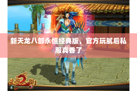 新天龙八部永恒经典版,官方玩腻后私服真香了 新天龙八部永恒经典版,官方玩腻后私服真香了