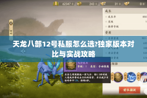 天龙八部12号私服怎么选?独家版本对比与实战攻略 天龙八部12号私服怎么选?独家版本对比与实战攻略