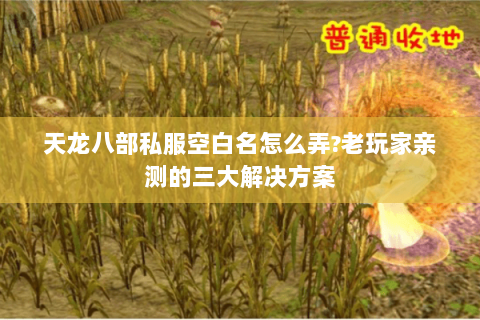 天龙八部私服空白名怎么弄?老玩家亲测的三大解决方案 天龙八部私服空白名怎么弄?老玩家亲测的三大解决方案