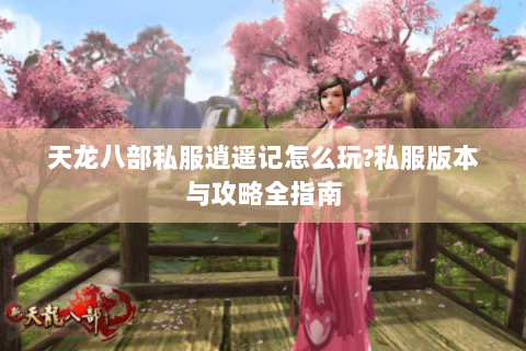 天龙八部私服逍遥记怎么玩?私服版本与攻略全指南 天龙八部私服逍遥记怎么玩?私服版本与攻略全指南