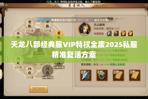 天龙八部经典服VIP特权全废2025私服精准复活方案 天龙八部经典服VIP特权全废2025私服精准复活方案