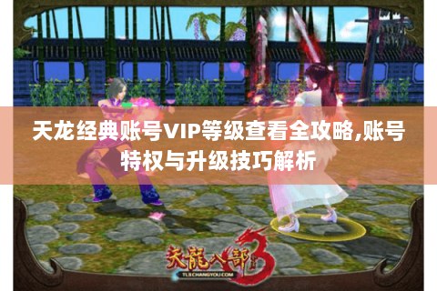 天龙经典账号VIP等级查看全攻略,账号特权与升级技巧解析 天龙经典账号VIP等级查看全攻略,账号特权与升级技巧解析