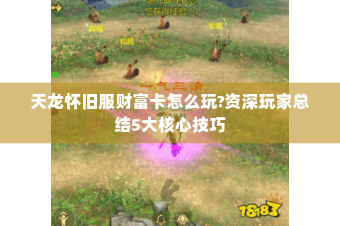 天龙怀旧服财富卡怎么玩?资深玩家总结5大核心技巧 天龙怀旧服财富卡怎么玩?资深玩家总结5大核心技巧