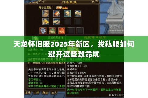 天龙怀旧服2025年新区,找私服如何避开这些致命坑 天龙怀旧服2025年新区,找私服如何避开这些致命坑