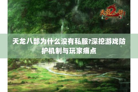 天龙八部为什么没有私服?深挖游戏防护机制与玩家痛点 天龙八部为什么没有私服?深挖游戏防护机制与玩家痛点