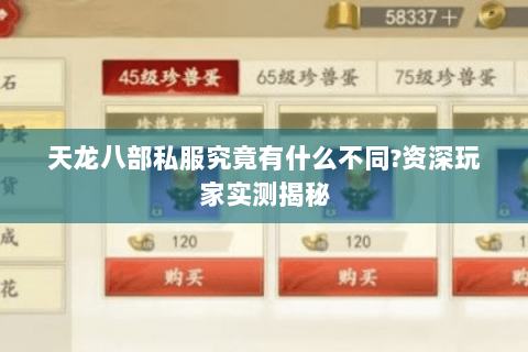 天龙八部私服究竟有什么不同?资深玩家实测揭秘