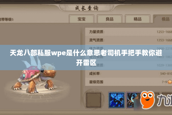 天龙八部私服wpe是什么意思老司机手把手教你避开雷区 天龙八部私服wpe是什么意思老司机手把手教你避开雷区