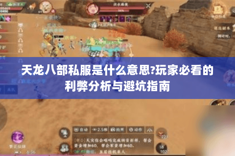 天龙八部私服是什么意思?玩家必看的利弊分析与避坑指南 天龙八部私服是什么意思?玩家必看的利弊分析与避坑指南