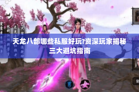 天龙八部哪些私服好玩?资深玩家揭秘三大避坑指南