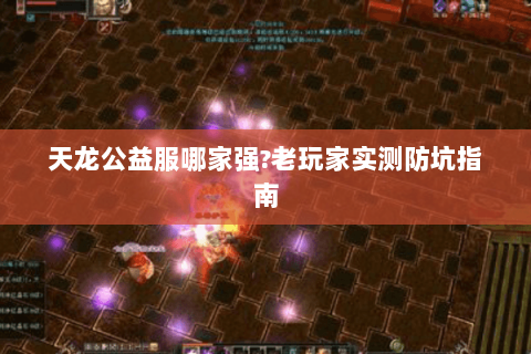 天龙公益服哪家强?老玩家实测防坑指南