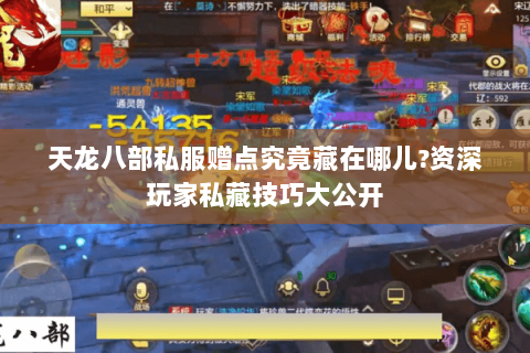 天龙八部私服赠点究竟藏在哪儿?资深玩家私藏技巧大公开 天龙八部私服赠点究竟藏在哪儿?资深玩家私藏技巧大公开