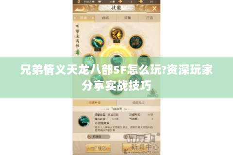 兄弟情义天龙八部SF怎么玩?资深玩家分享实战技巧 兄弟情义天龙八部SF怎么玩?资深玩家分享实战技巧