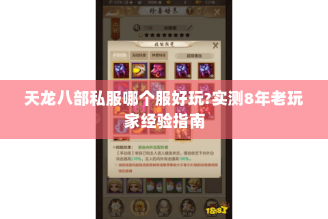 天龙八部私服哪个服好玩?实测8年老玩家经验指南 天龙八部私服哪个服好玩?实测8年老玩家经验指南