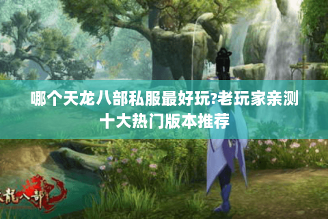 哪个天龙八部私服最好玩?老玩家亲测十大热门版本推荐 哪个天龙八部私服最好玩?老玩家亲测十大热门版本推荐