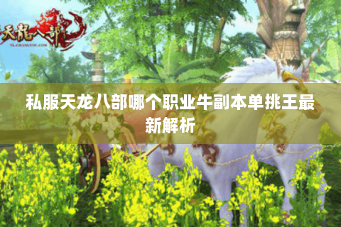 私服天龙八部哪个职业牛副本单挑王最新解析 私服天龙八部哪个职业牛副本单挑王最新解析