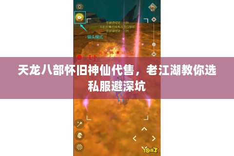 天龙八部怀旧神仙代售,老江湖教你选私服避深坑 天龙八部怀旧神仙代售,老江湖教你选私服避深坑